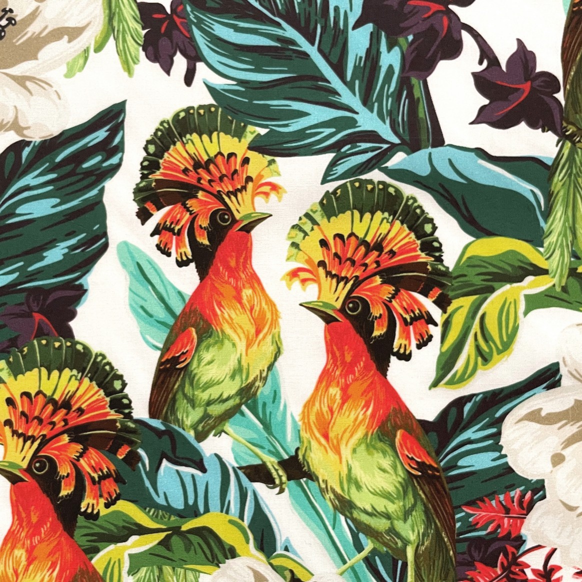 Percale Sample Book Prints