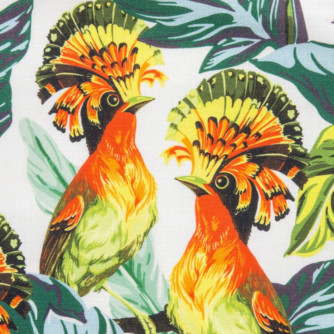 Classic Plain Sample Book Prints