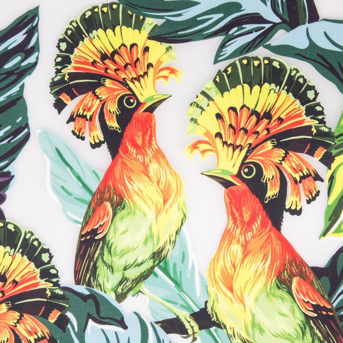 Direct to Film Sample Book Prints