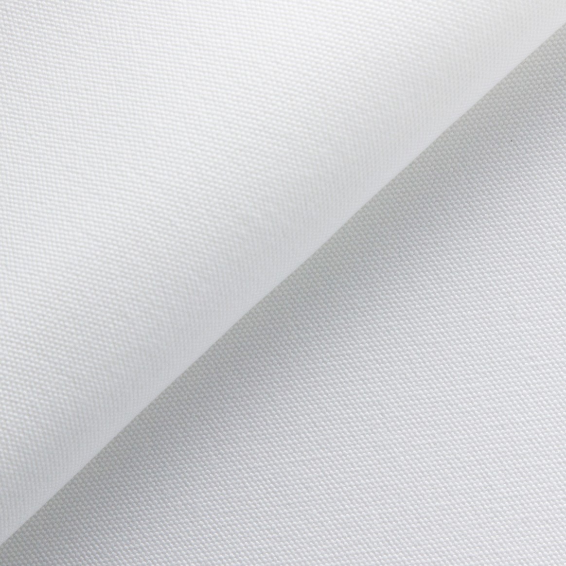 Economy Canvas