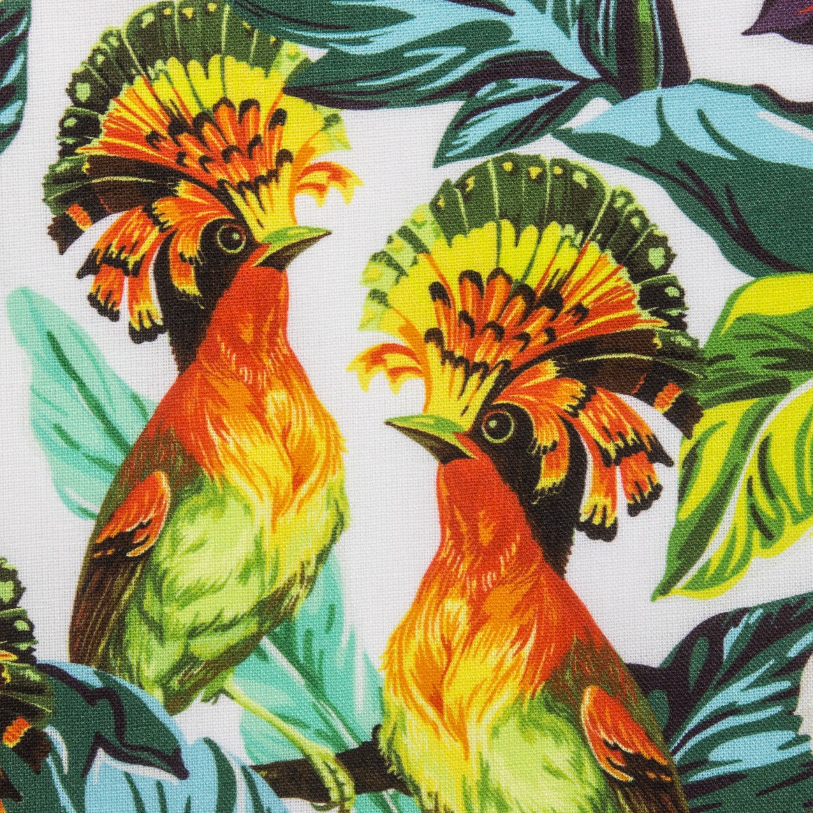 Organic Optic Calico Sample Book Prints
