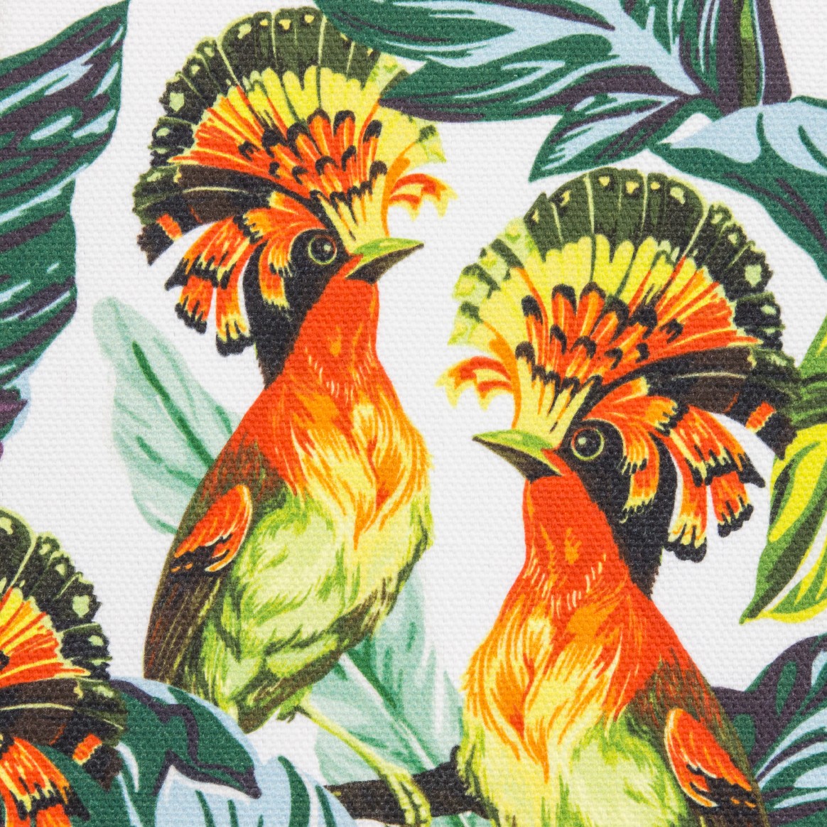 Organic Optic Half Panama Sample Book Prints