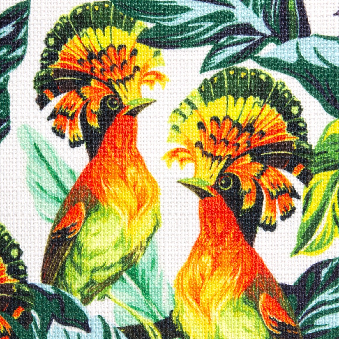 Renaissance Sample Book Prints