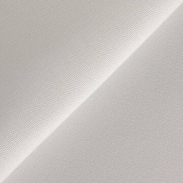 Unprinted Economy Canvas