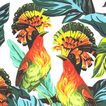 Printed Pima Lawn