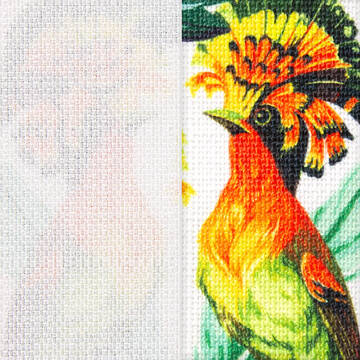 Renaissance Surface Texture