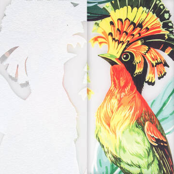 Direct to Film Surface Texture