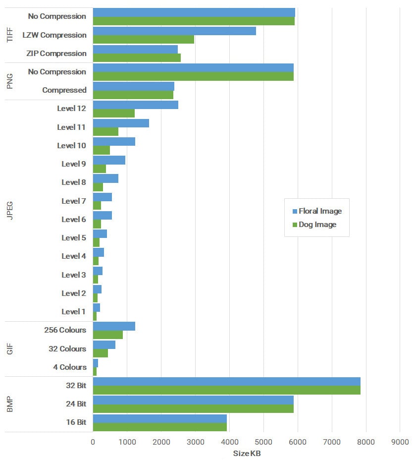 Graph showing the difference in file size between different file types and compression types/levels