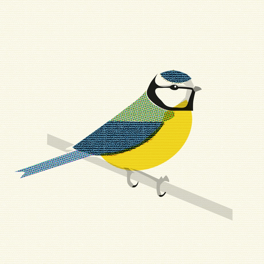 Blue Tit Stylised